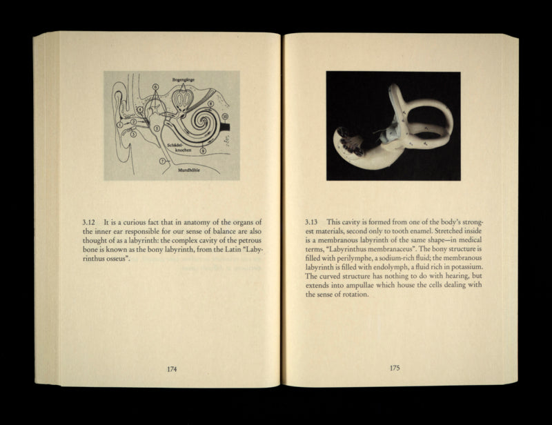 Labyrinth – Four Times Through the Labyrinth