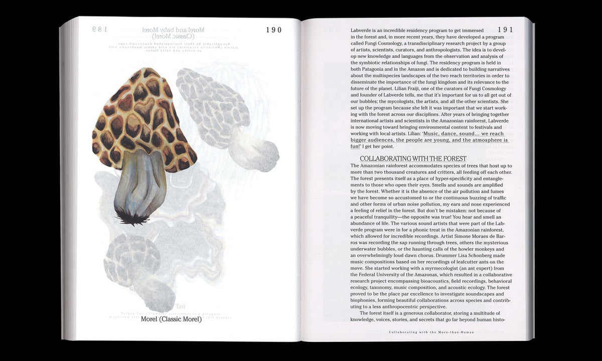 Let’s Become Fungal! Mycelial Learning and the Arts