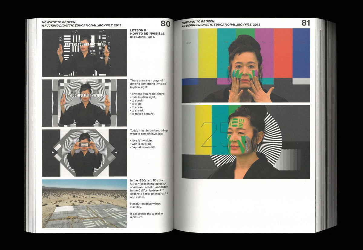Hito Steyerl. I Will Survive