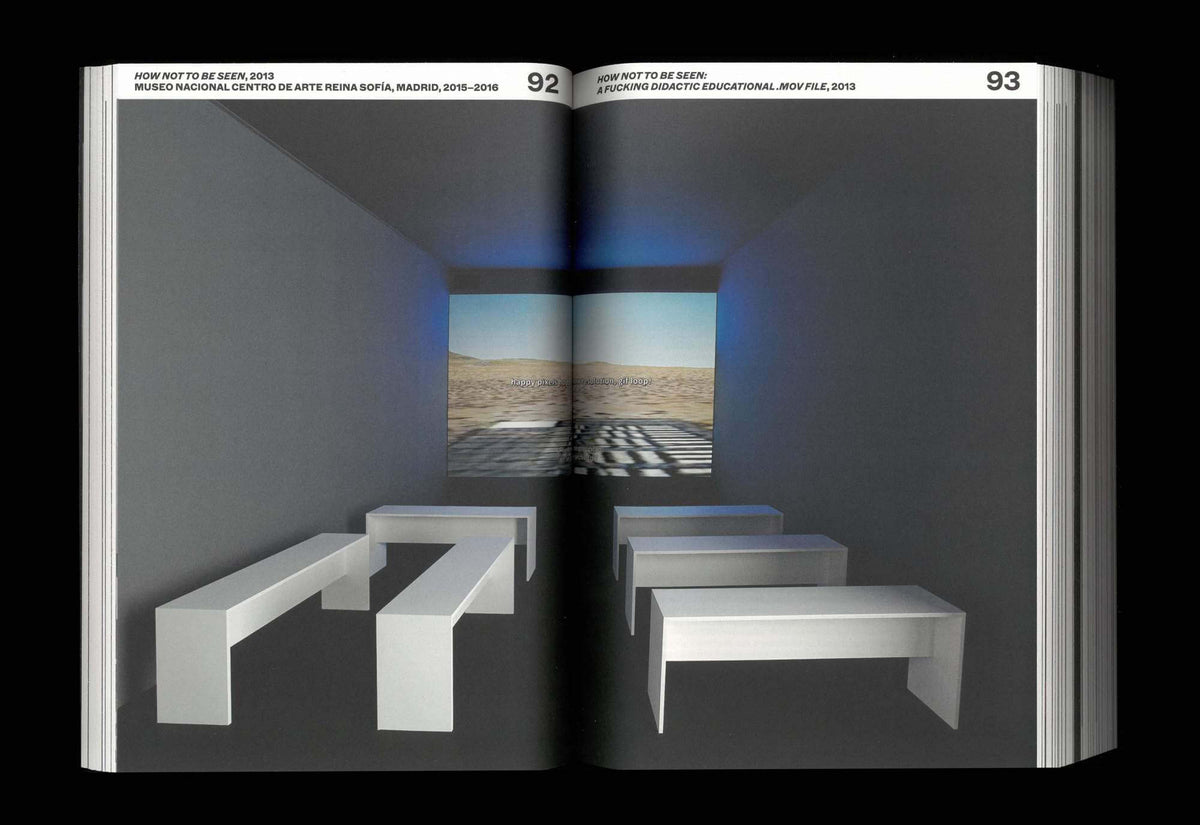 Hito Steyerl. I Will Survive