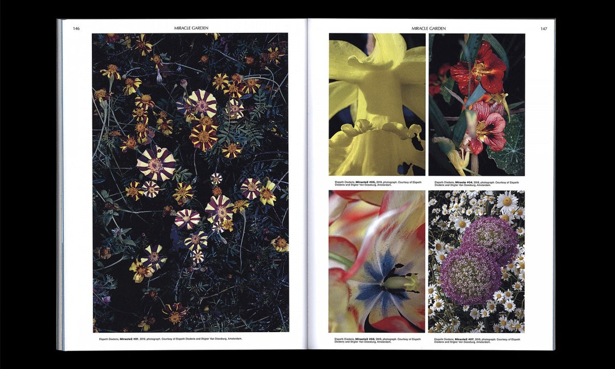 On the Necessity of Gardening. An ABC of Art, Botany and Cultivation