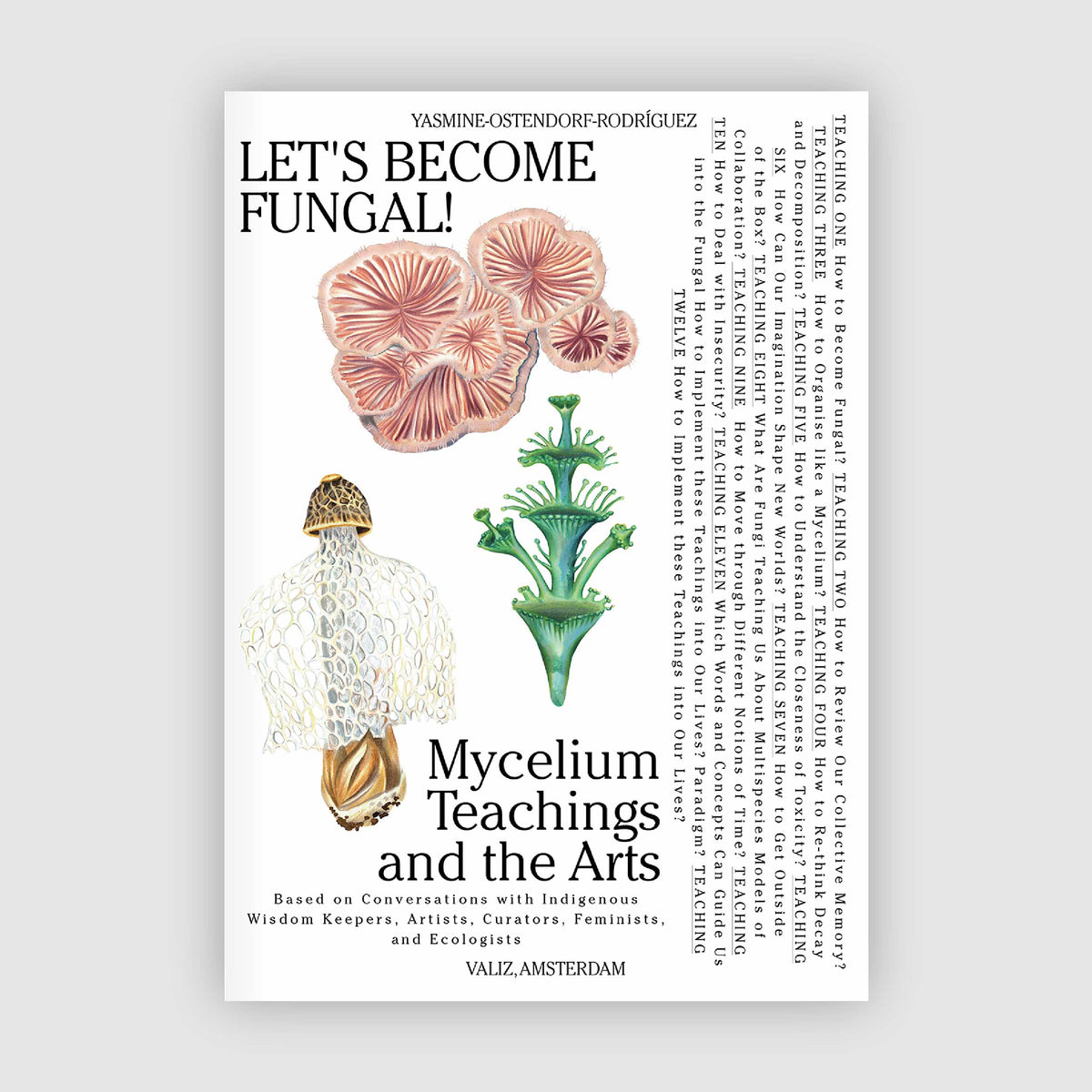 Let’s Become Fungal! - Mycelial Learning and the Arts